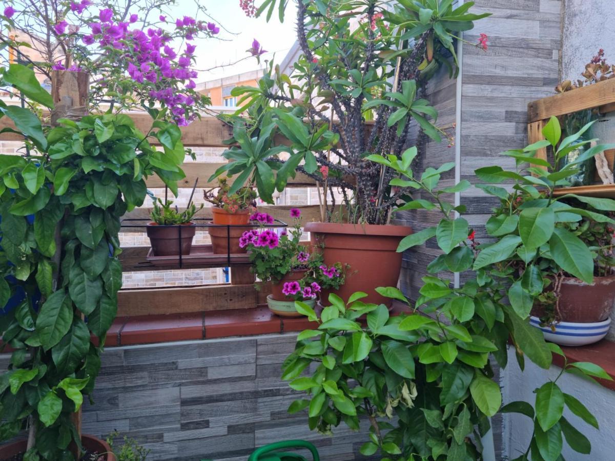 Residenza Lucana มาเตรา ภายนอก รูปภาพ